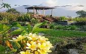 Туры в отель Onion Garden And Natural Hotspring