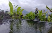 Туры в отель Onion Garden And Natural Hotspring