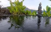 Туры в отель Onion Garden And Natural Hotspring