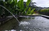 Туры в отель Onion Garden And Natural Hotspring