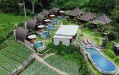 Туры в отель Cabana Bali Villa