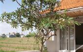Туры в отель Idyll House
