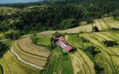 Туры в отель Santya Loka Lodge & Twin Waterfall