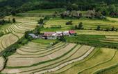 Туры в отель Santya Loka Lodge & Twin Waterfall