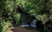 Туры в отель Santya Loka Lodge & Twin Waterfall