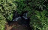 Туры в отель Santya Loka Lodge & Twin Waterfall