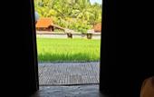 Туры в отель Uma Nirmala aling-aling
