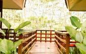 Туры в отель Kasuari Exotic Resort Magelang