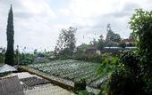 Туры в отель RedDoorz Near Candi Sukuh Karanganyar