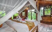 Туры в отель Iyume Villas