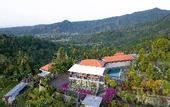 Туры в отель Rostika Hotel Sekumpul
