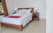 Туры в отель Rostika Hotel Sekumpul
