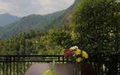 Туры в отель Rostika Hotel Sekumpul