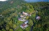 Туры в отель Rostika Hotel Sekumpul