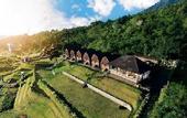 Туры в отель The Blooms Villas