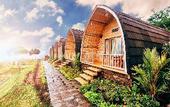 Туры в отель The Blooms Villas