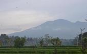 Туры в отель Pondok Tetebatu Cottage and Cafe