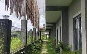 Туры в отель Sawah Tamanan Villa & Resort