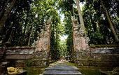 Туры в отель Capung Asri Eco Luxury Resort with Private Pool Villas
