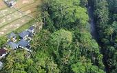 Туры в отель Capung Asri Eco Luxury Resort with Private Pool Villas