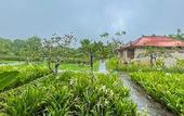 Туры в отель Agaru Villa Uluwatu by The Lavana