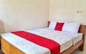 Туры в отель RedDoorz Syariah near Terminal Bus Giwangan