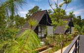 Туры в отель Solitude Tahura Villa Bandung