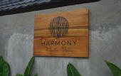 Туры в отель Harmony Wooden Villas