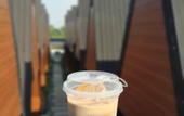 Туры в отель Dsvarga Glamping