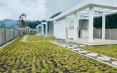Туры в отель Intan Lake View Kintamani