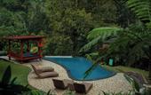 Туры в отель Kebun Kita Ecolodge