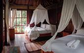 Туры в отель Kebun Kita Ecolodge