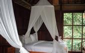 Туры в отель Kebun Kita Ecolodge