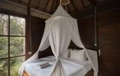 Туры в отель Kebun Kita Ecolodge
