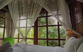 Туры в отель Kebun Kita Ecolodge