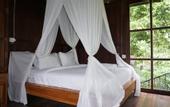 Туры в отель Kebun Kita Ecolodge