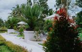 Туры в отель Nirvana Hotel Resort Tetebatu