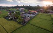 Туры в отель Widi Agung Villa