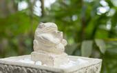 Туры в отель Thalassa Dive & Wellbeing Resort Manado