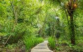 Туры в отель Thalassa Dive & Wellbeing Resort Manado