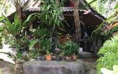 Туры в отель Jembrana Bali Homestay