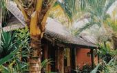 Туры в отель Jembrana Bali Homestay