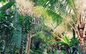 Туры в отель Jembrana Bali Homestay