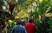 Туры в отель Jembrana Bali Homestay