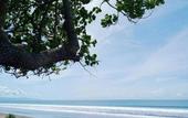 Туры в отель Jembrana Bali Homestay