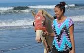 Туры в отель Jembrana Bali Homestay