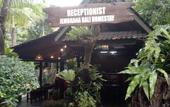 Туры в отель Jembrana Bali Homestay