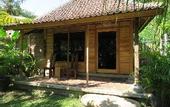 Туры в отель Jembrana Bali Homestay