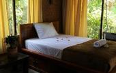 Туры в отель Jembrana Bali Homestay