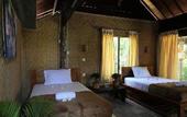 Туры в отель Jembrana Bali Homestay
